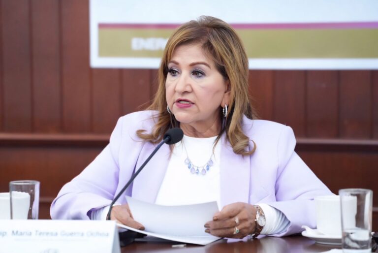 Diputada María Teresa Guerra Ochoa, habla ante micrófono, durante comparecencia, desde presidium.