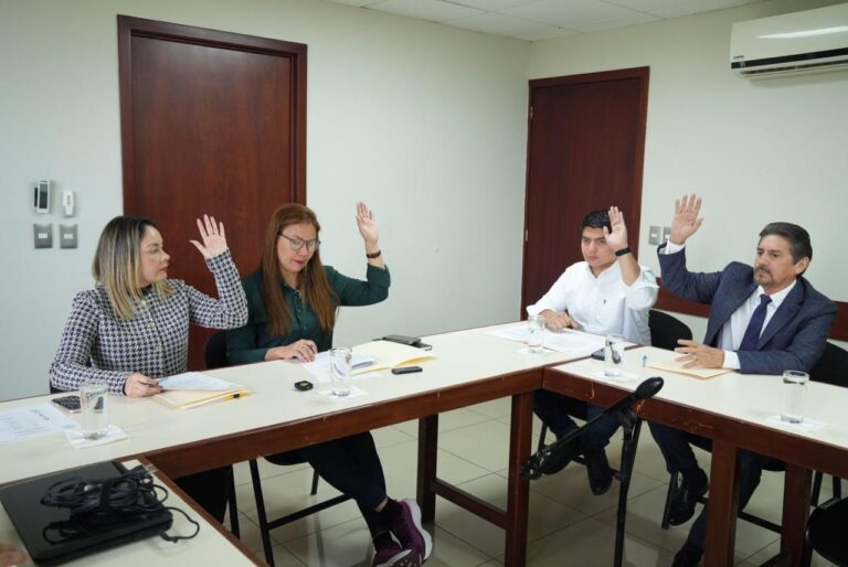 Integrantes de la Comisión sesionan en su propia sala y votan levantando sus manos.
