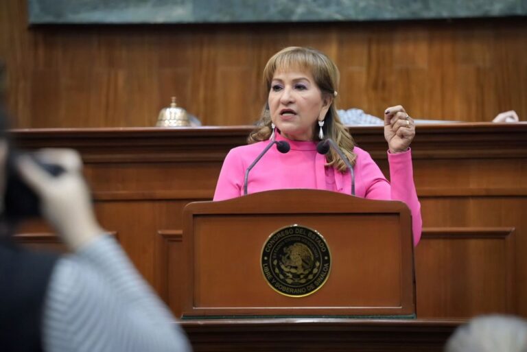 Diputada María Teresa Guerra Ochoa habla en tribuna.