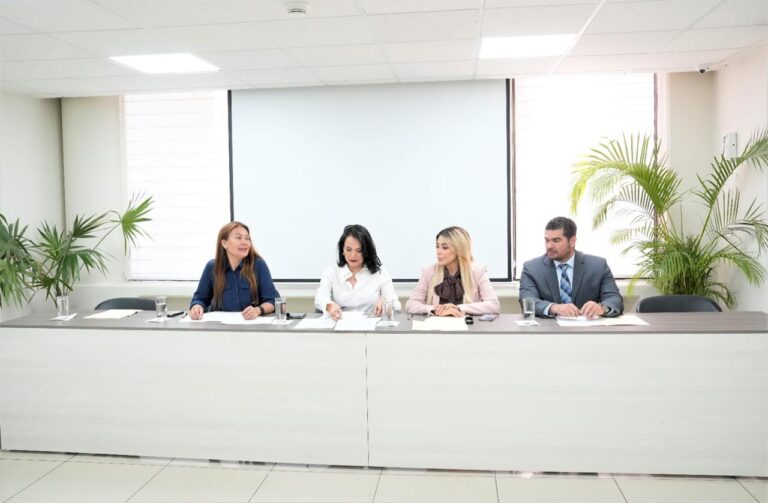 Tres diputadas y un diputado participan en la reunión de la Comisión.
