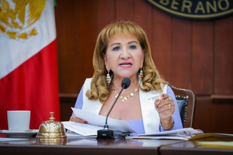 Diputada María Teresa Guerra habla ante micrófono.