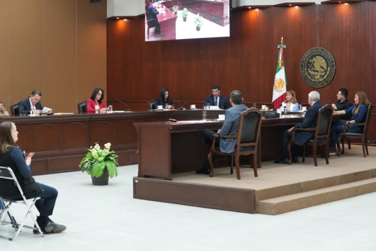 Las y los integrantes de la Diputación Permanente aparecen sentados en su lugares, y una persona del público aparece también.