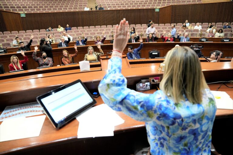 Diputadas y diputados votan levantando sus manos desde sus asientos.