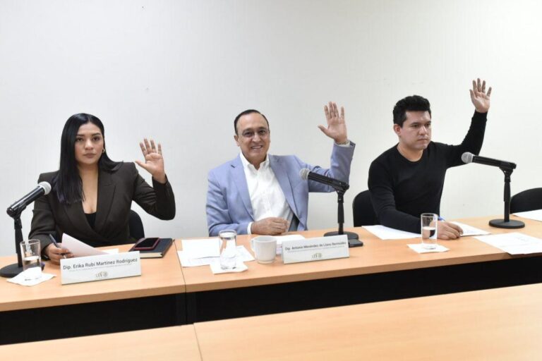 Dos diputados y una diputada de la Comisión votan levantando la mano.