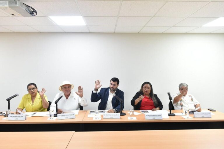 Cinco integrantes de la Comisión sesionan en Sala A del Congreso.