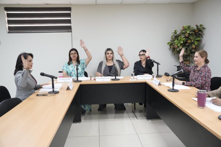 Las cinco diputadas integrantes de la Comisión sesionan en la Sala Adjunta al Pleno.