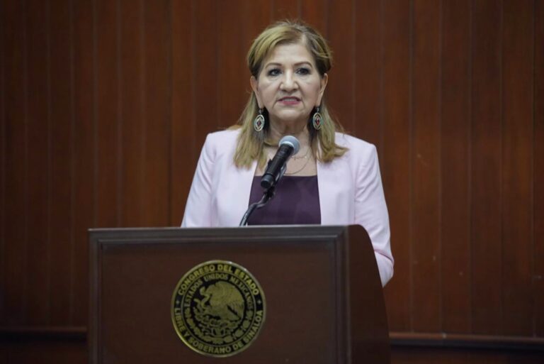 Diputada María Teresa Guerra Ocho, habla en podium.