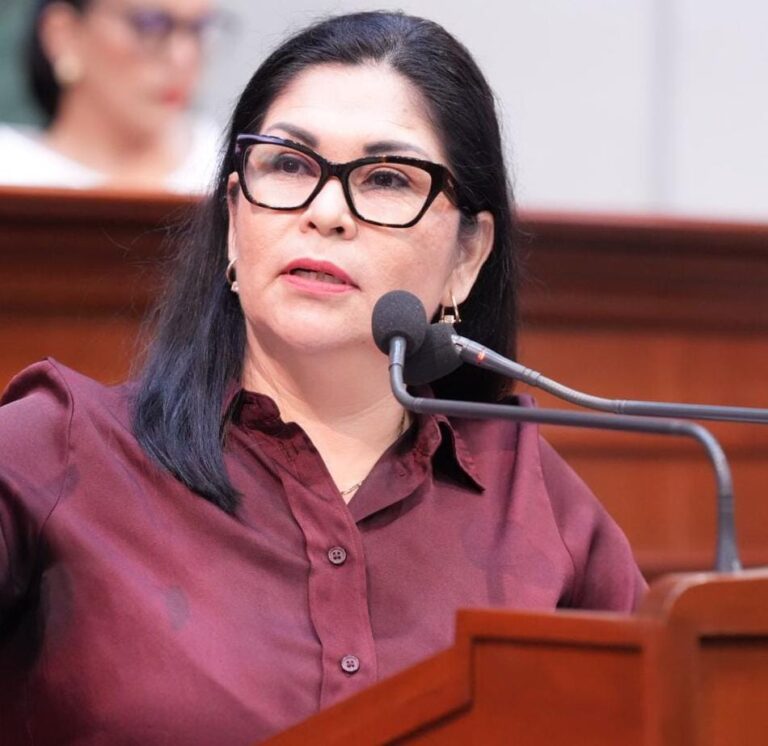 Diputada Juana Minerva Vázquez González, habla en tribuna durante sesión.