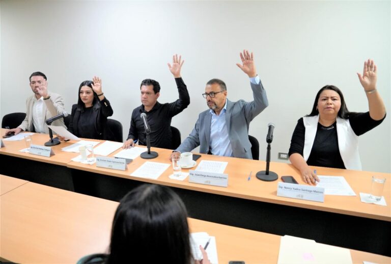 Dos diputadas y tres diputados de la Comisión votan levantando sus brazos.