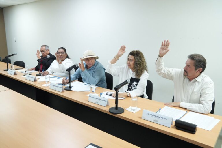 Integrantes de la Comisión de Salud votan levantando sus manos.