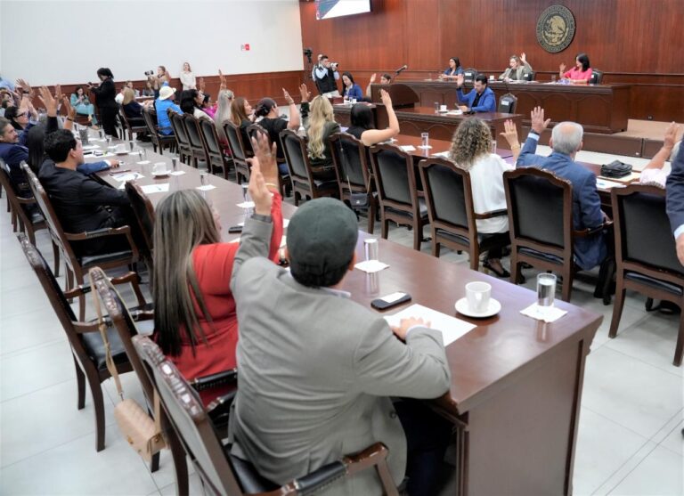 Diputadas y diputados votan levantando sus manos.