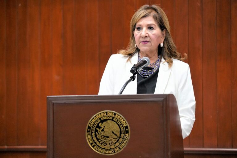 Diputada María Teresa Guerra habla de ´pie ante mocrófono.