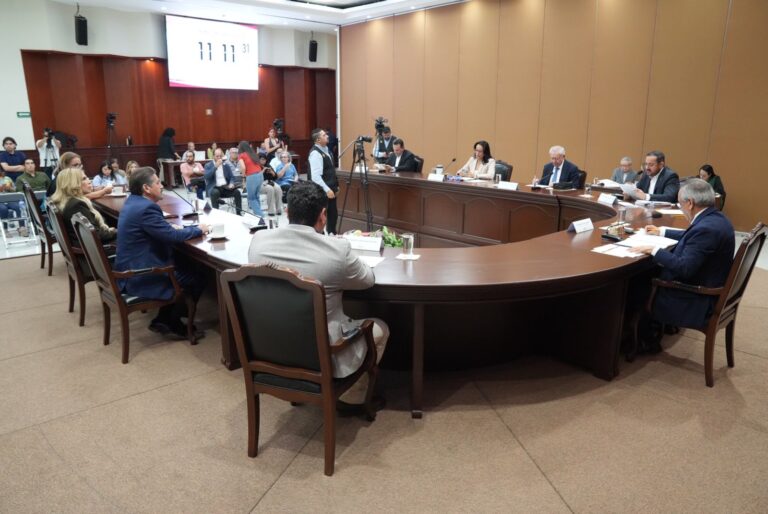 En primer plano diputadas y diputados de la Diputación Permanente y al fondo público y periodistas.