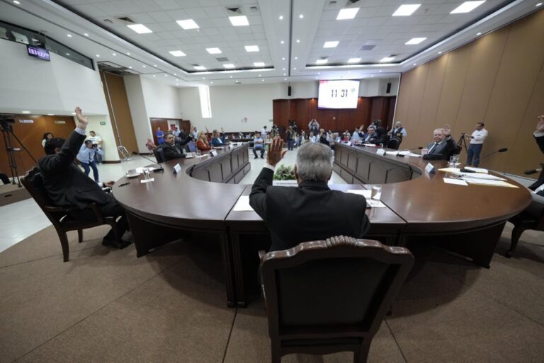 Presidente de la Diputación Permanente aparece de espaldas votando. A los lados, diputadas y diputados y al fondo público asistente.