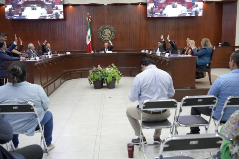 En primer plano personas sentadas del público, al fondo diputadas y diputados de la Diputación Permanente en sesión.