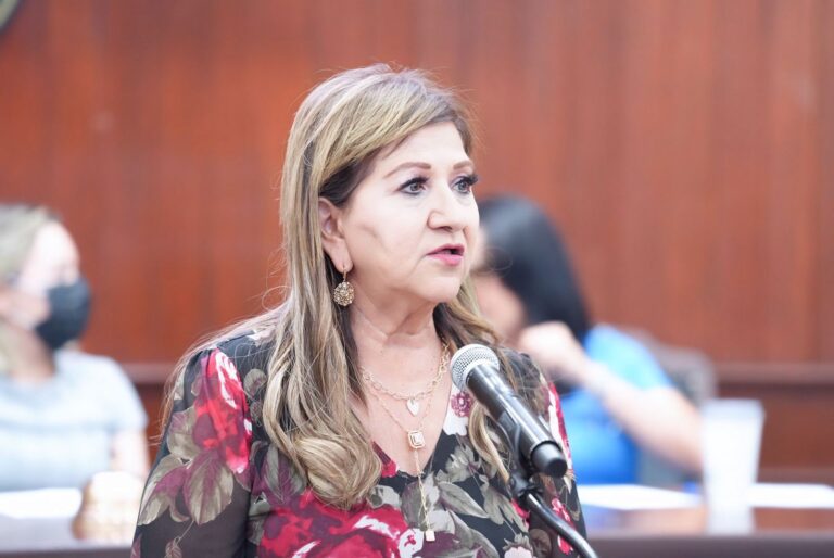 Diputada María Teresa Guerra Ochoa, habla ante micrófono.