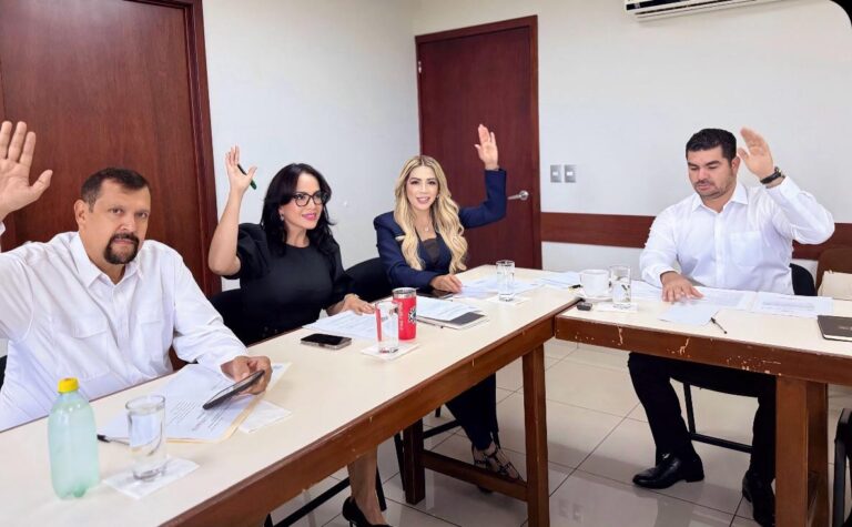 Integrantes de la Comisión votan levantando sus manos .