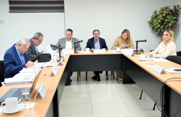 Seis de siete integrantes de la comisión participan en la reunión, sentados en mesa tipo herradura