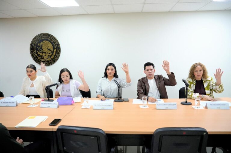 Diputadas y diputados participantes votan levantando sus manos.