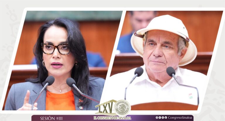 Imagen compuesta con rostros de diputada Irma Guadalupe Moreno y diputado Guadalupe Santana.