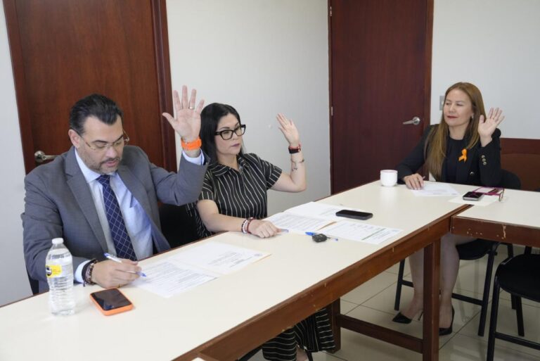 Tres integrantes de la Comisión participan en la reunió de trabajo.