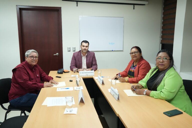 Cuatro integrantes de la Comisión aparecen sentados durante reunión de trabajo.