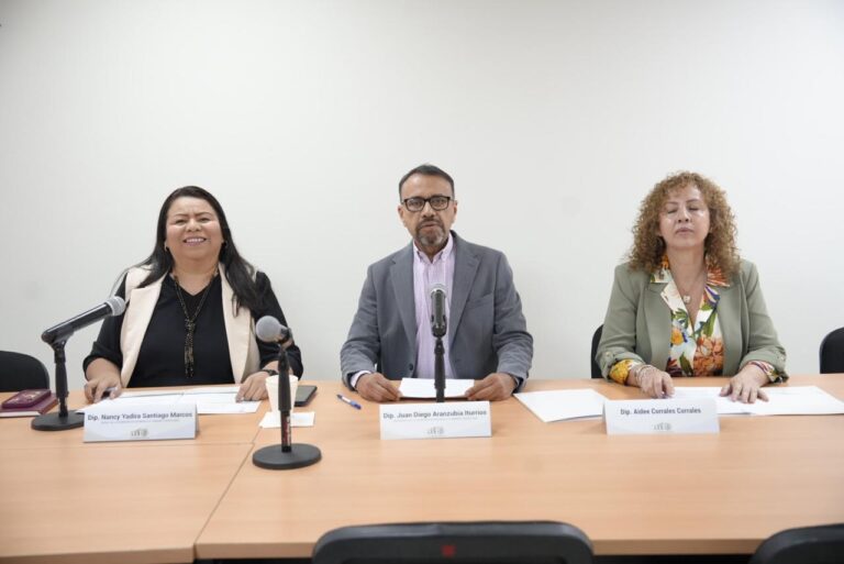 Dos diputadas y un diputado participan en la reunión de la comisión.
