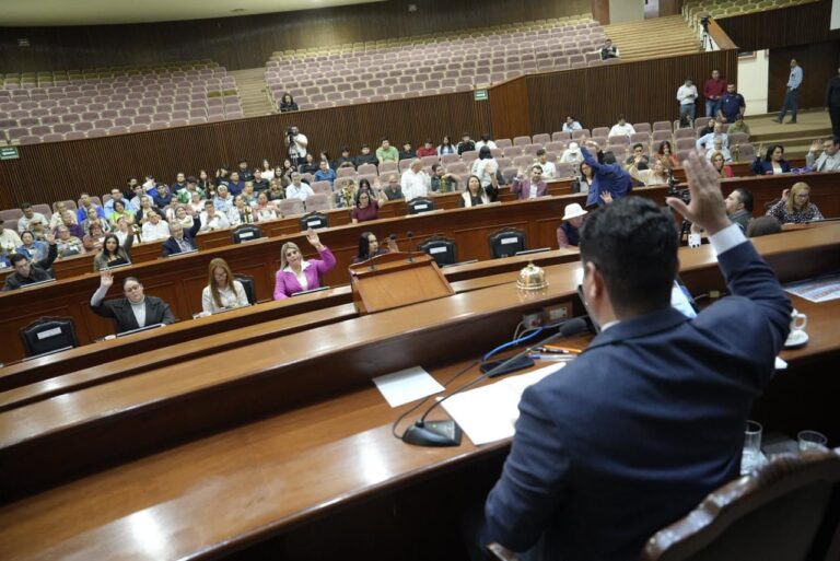 Diputadas y diputados votan desde sus asientos levantando sus manos.