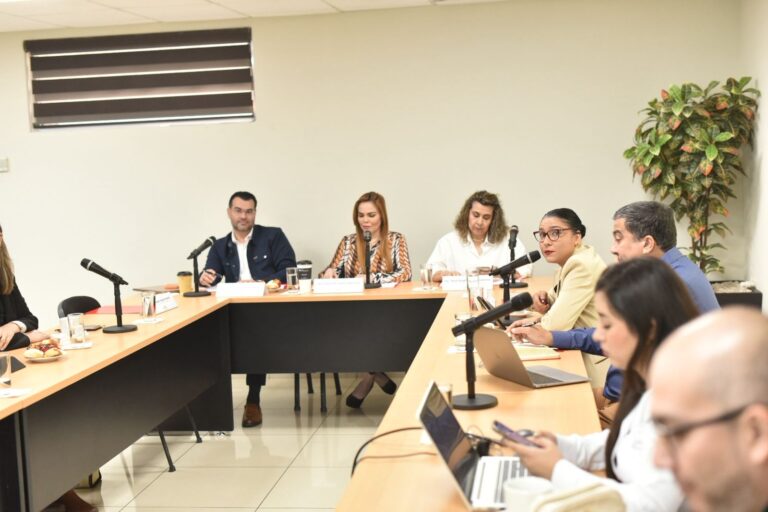 Tres integrantes de la Comisión dialogan en mesa tipo herradura con funcionarios de Codesin.