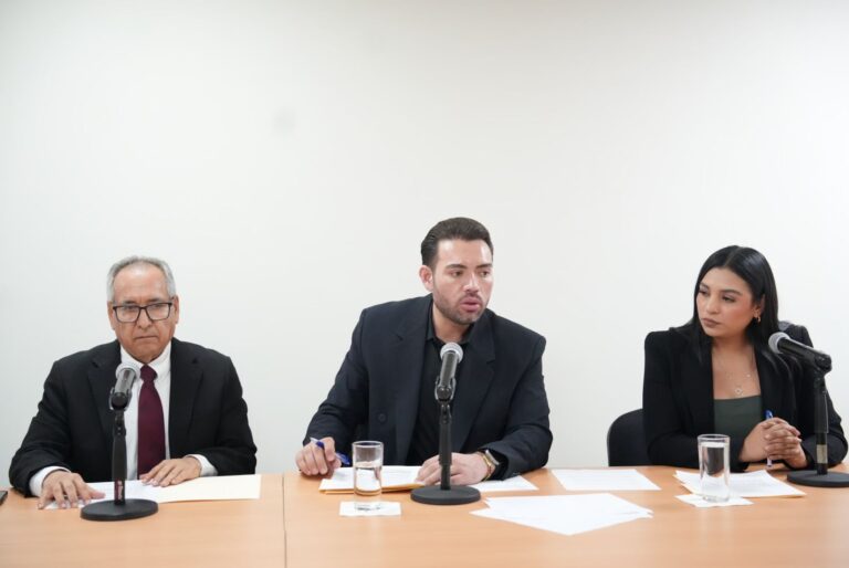 Dos diputados y una diputada de la comisión, sentados, participan en reunión.
