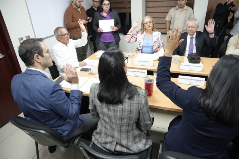 Todos y todas las integrantes de la Comisión votan levantando su mano.