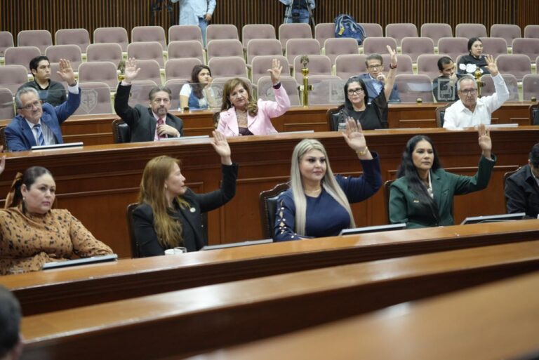 diputadas y diputados votan levantando sus manos desde sus curules.