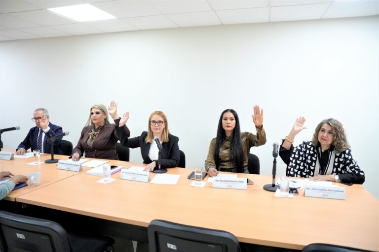 Cuatro diputadas y un diputado participan en reunión de la comisión.