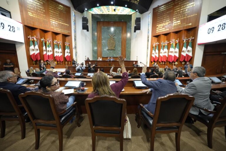 Diputadas y diputados aparecen de espaldas, levantando sus manos durante votación.