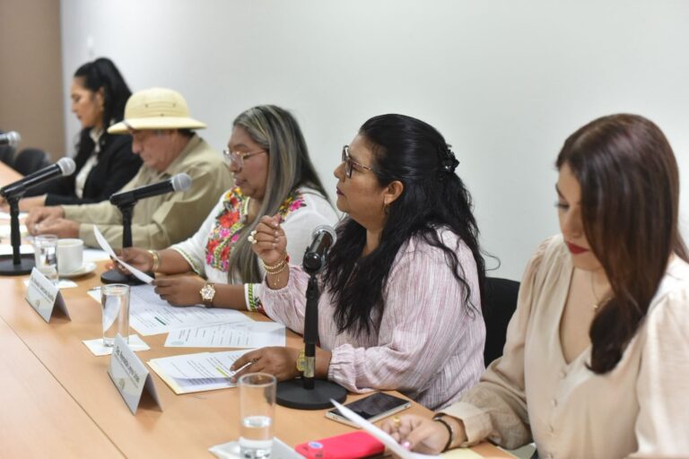La totalidad de integrantes (5) de la Comisión participan en la reunión de trabajo.