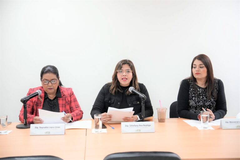 Tres diputadas integrantes de la Comisión participan en la reunión.