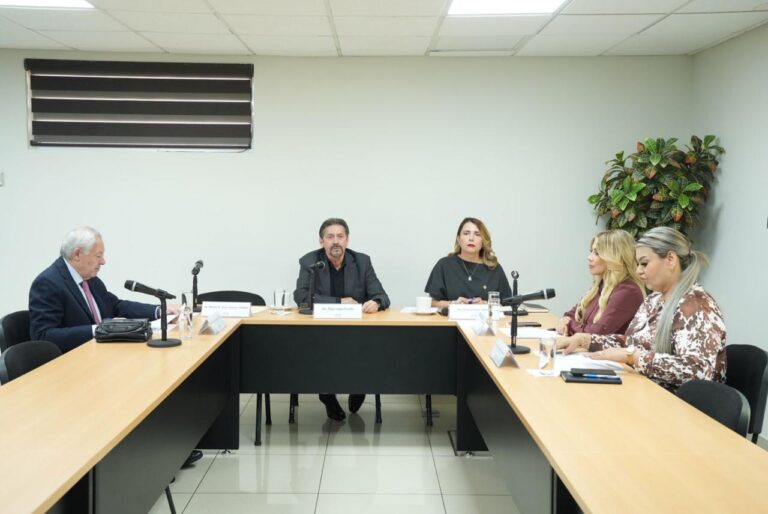 Cinco integrantes de la -comisión participan en la reunión de trabajo.