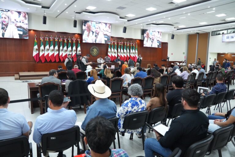 Público asistente observa desarrollo de la sesión extraordinaria.