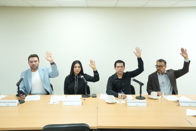 Cuatro integrantes de la Comisión votan, sentados, levantando sus manos.