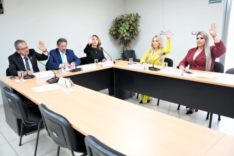 Integrantes de la Comisión votan levantando sus manos para aprobar.