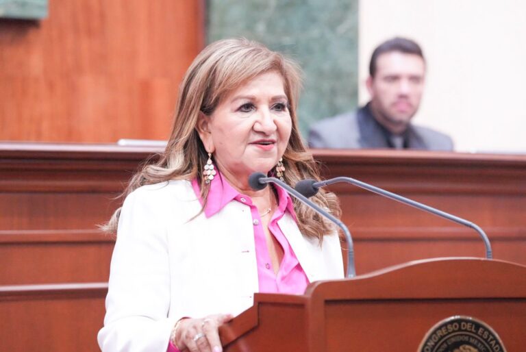 Diputada Tere Guerra habla en tribuna durante sesión.