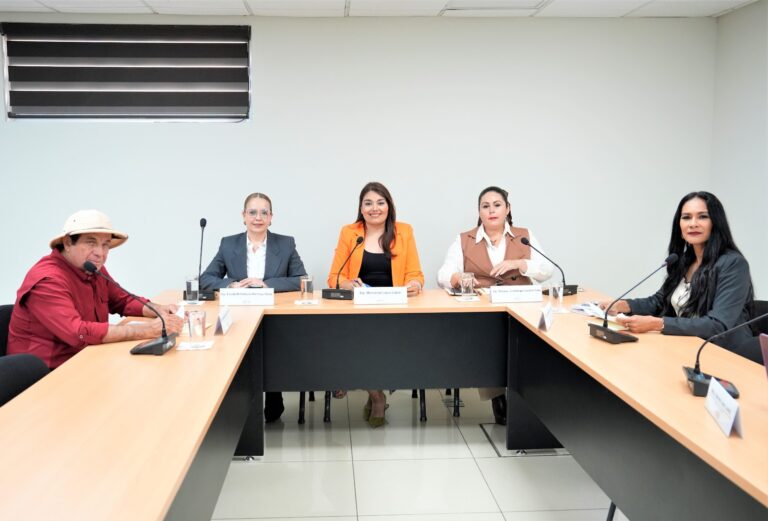 Cuatro diputadas y un diputado participan en la reunión.