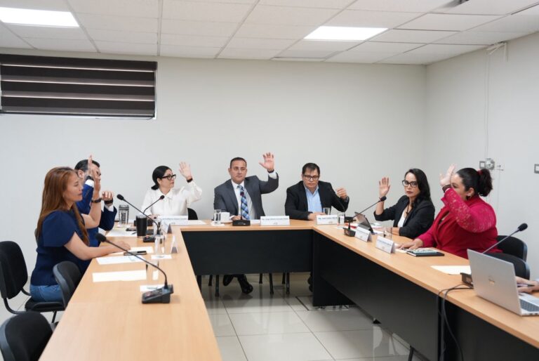 Diputadas y diputados de distintas comisiones votan dictamen levantando sus manos.