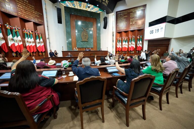 Diputadas y diputados aparecen de espaldas con sus brazos levantados al momento de votar.