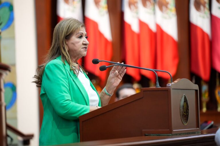 Diputada Tere Guerra habla en tribuna durante sesión ordinaria.