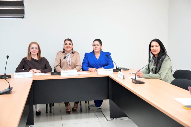 Cuatro diputadas de la comisión están sentadas durante reunión de trabajo.