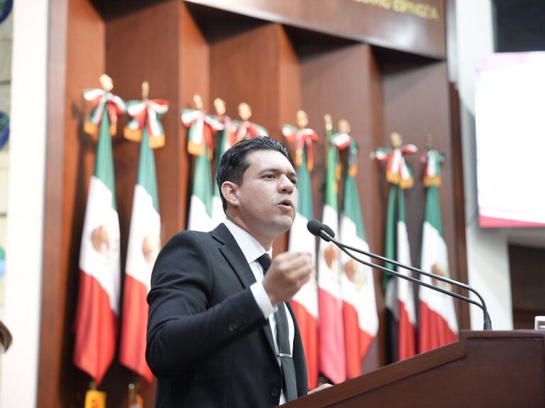 Diputado Kristiam Espinoza habla en tribuna.