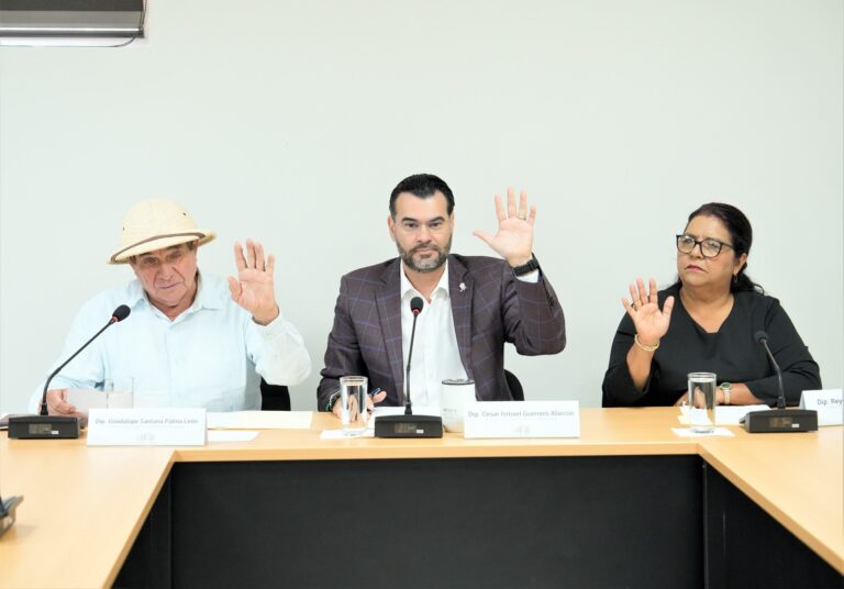 Dos diputados y una diputada de la Comisión votan levantando sus manos.