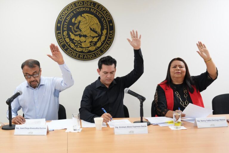 Tres integrantes de la Comisión votan levantando sus manos.