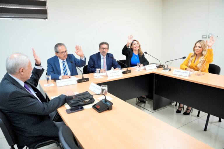 Integrantes de la Comisión votan levantando sus manos.